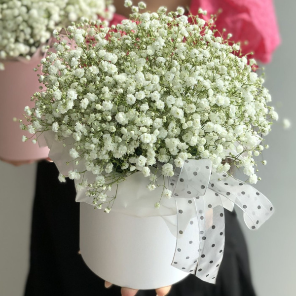 КОРОБКА С ГИПСОФИЛОЙ